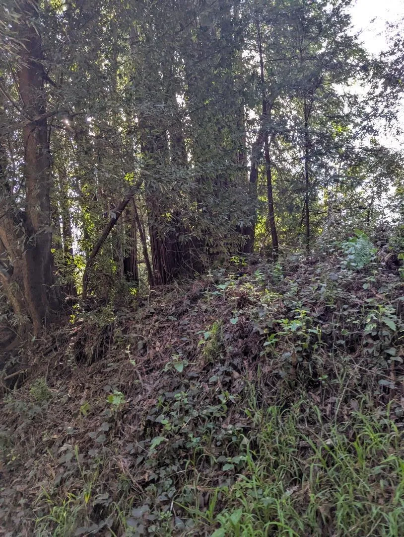 8055 Glen Haven Road Soquel, CA 95073