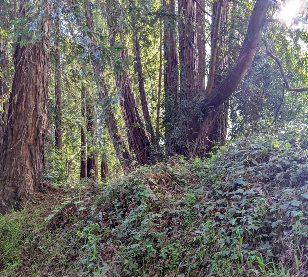 8055 Glen Haven Road Soquel, CA 95073