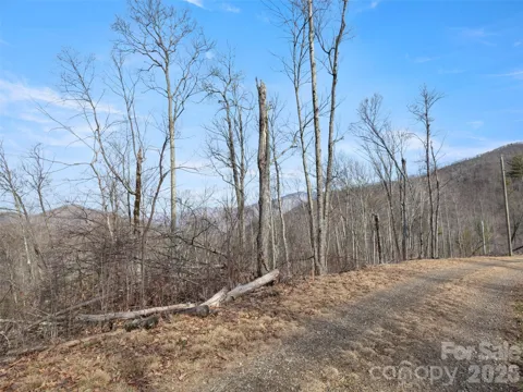 TBD S Ridge Runner Road