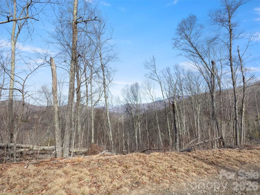 TBD S Ridge Runner Road Burnsville, NC 28714