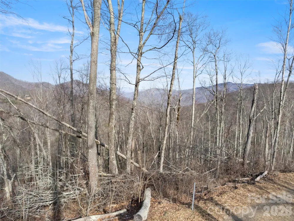 TBD S Ridge Runner Road Burnsville, NC 28714