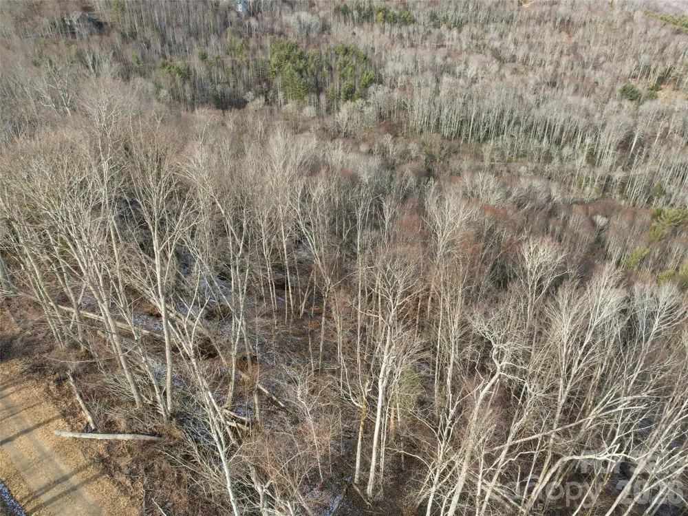 TBD S Ridge Runner Road Burnsville, NC 28714