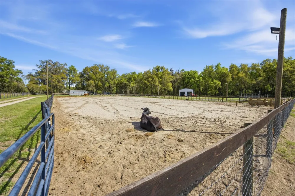 3660 W HWY 329 Reddick, FL 32686