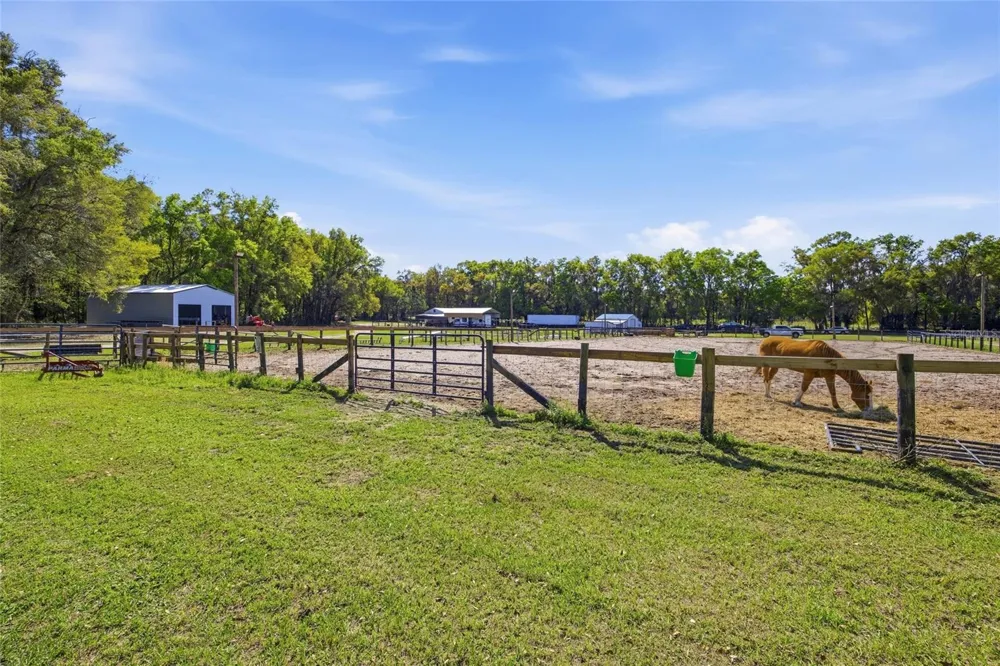 3660 W HWY 329 Reddick, FL 32686