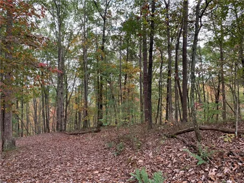 128 Adair Drive