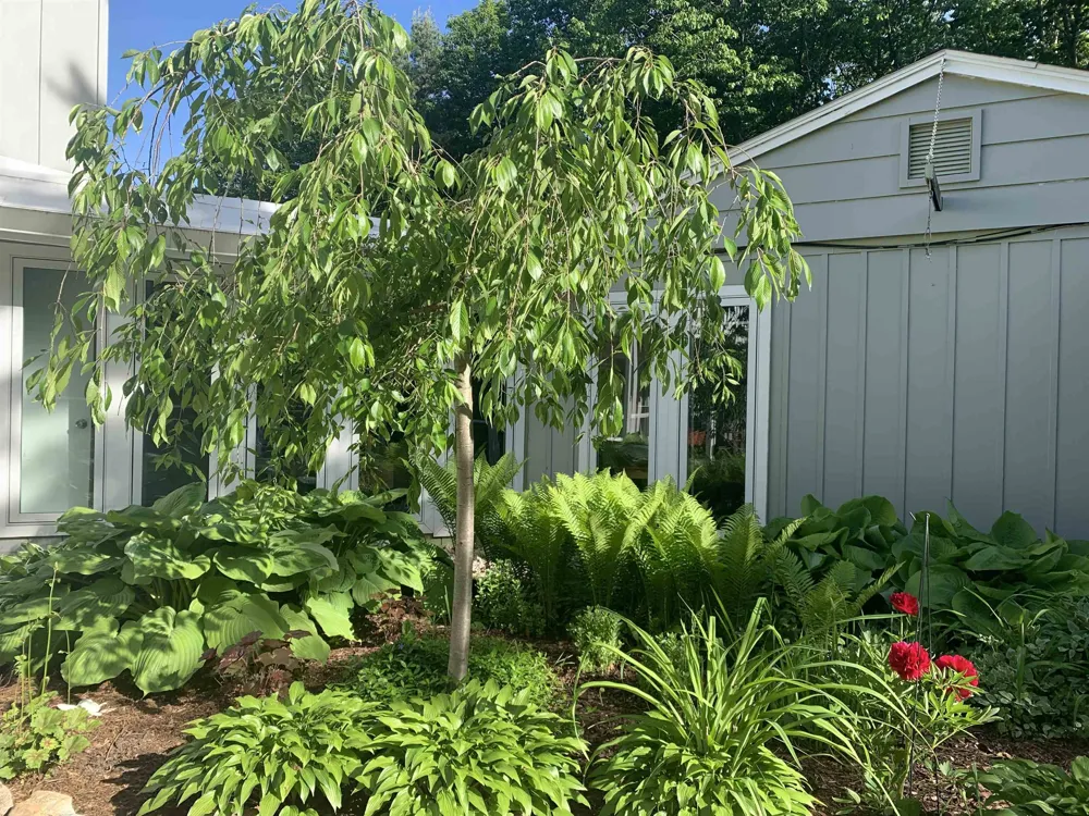 10774 S US-31 Elk Rapids Township, MI 49690