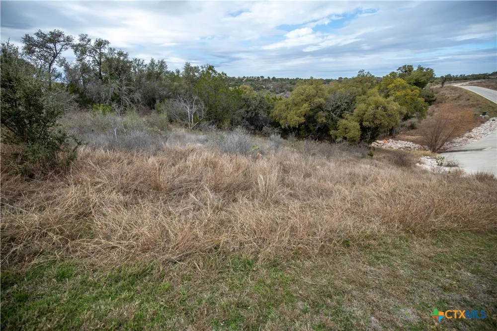 94 Hidden Cove Kingsland, TX 78639