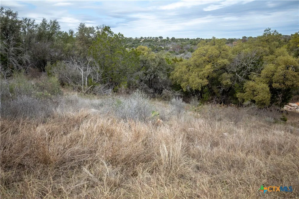 94 Hidden Cove Kingsland, TX 78639