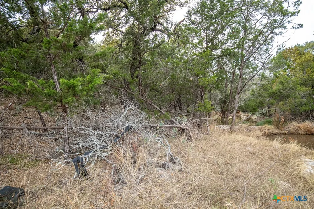 94 Hidden Cove Kingsland, TX 78639