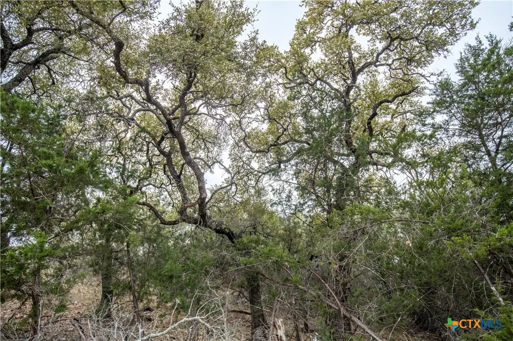 94 Hidden Cove Kingsland, TX 78639