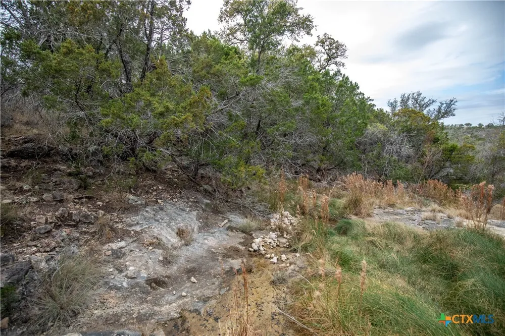 94 Hidden Cove Kingsland, TX 78639