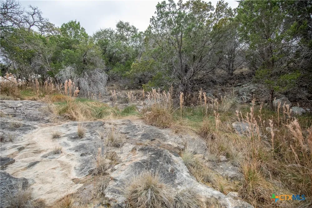 94 Hidden Cove Kingsland, TX 78639