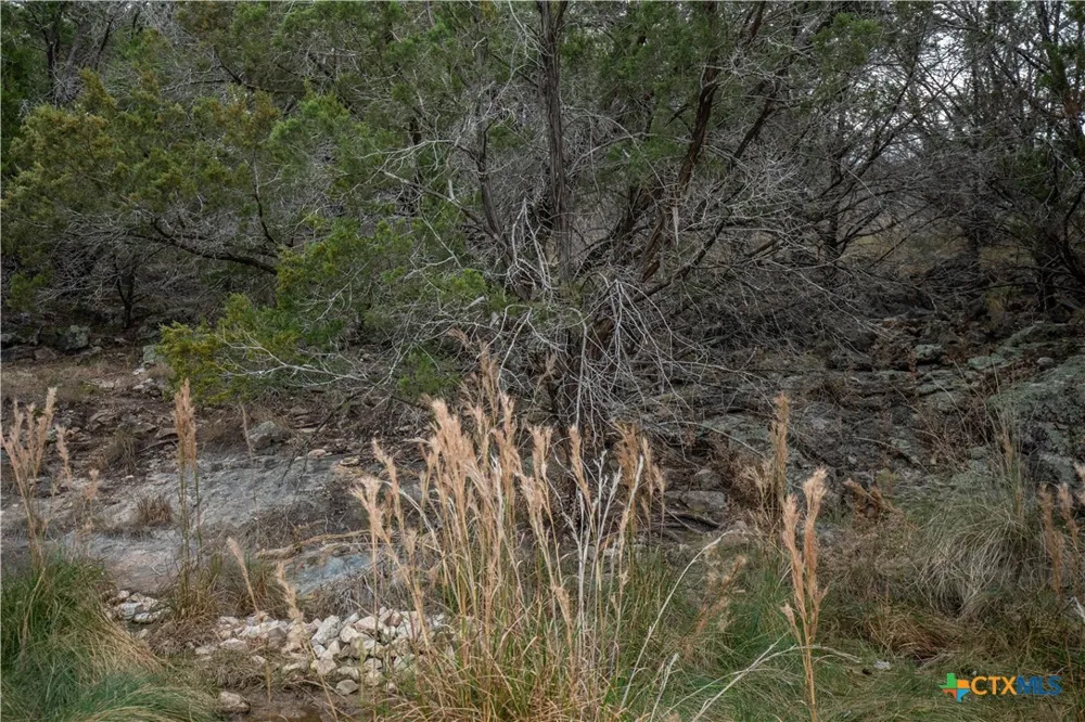 94 Hidden Cove Kingsland, TX 78639