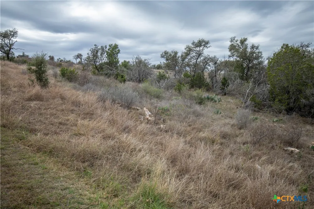 94 Hidden Cove Kingsland, TX 78639