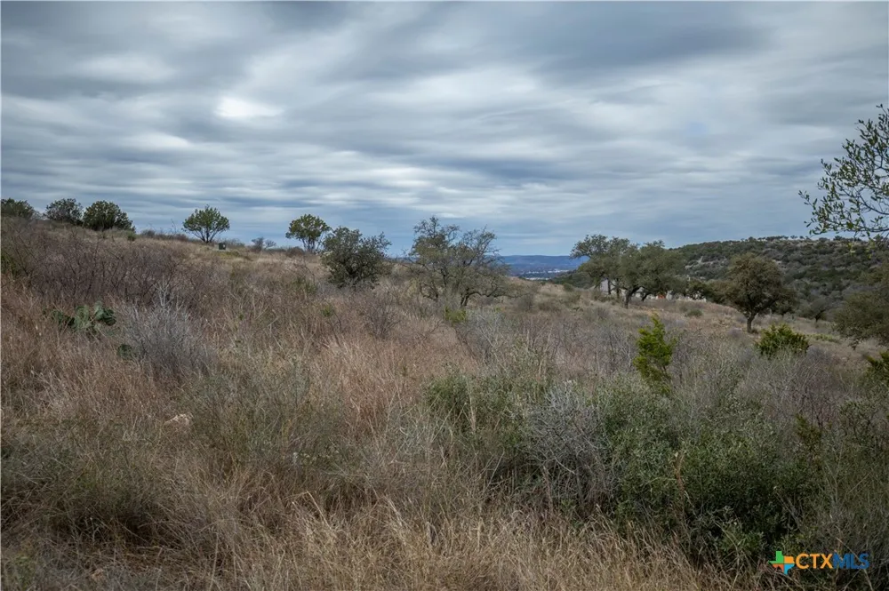 94 Hidden Cove Kingsland, TX 78639