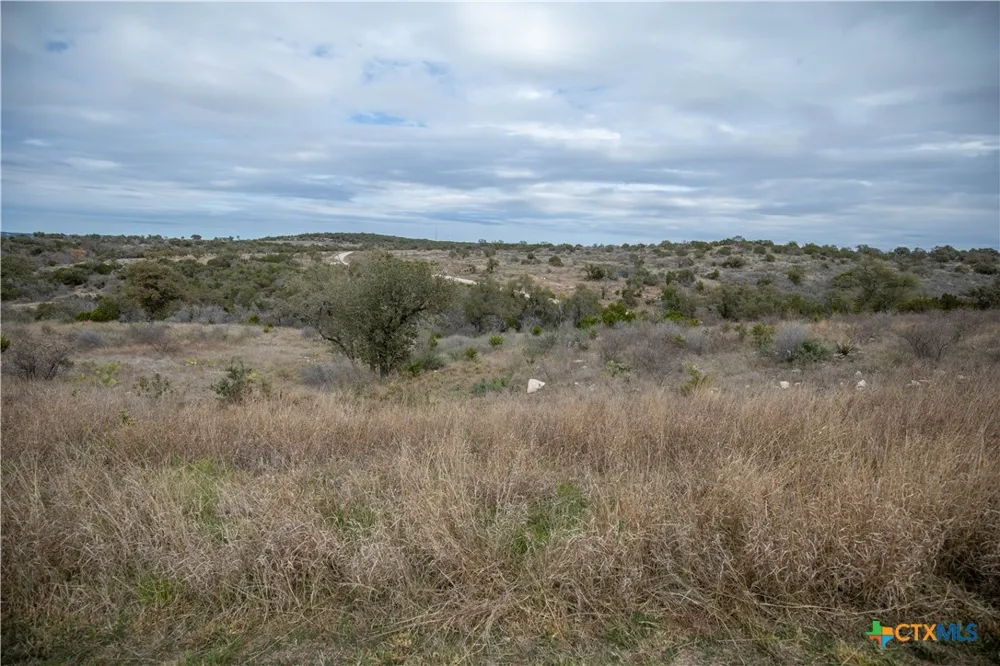 94 Hidden Cove Kingsland, TX 78639