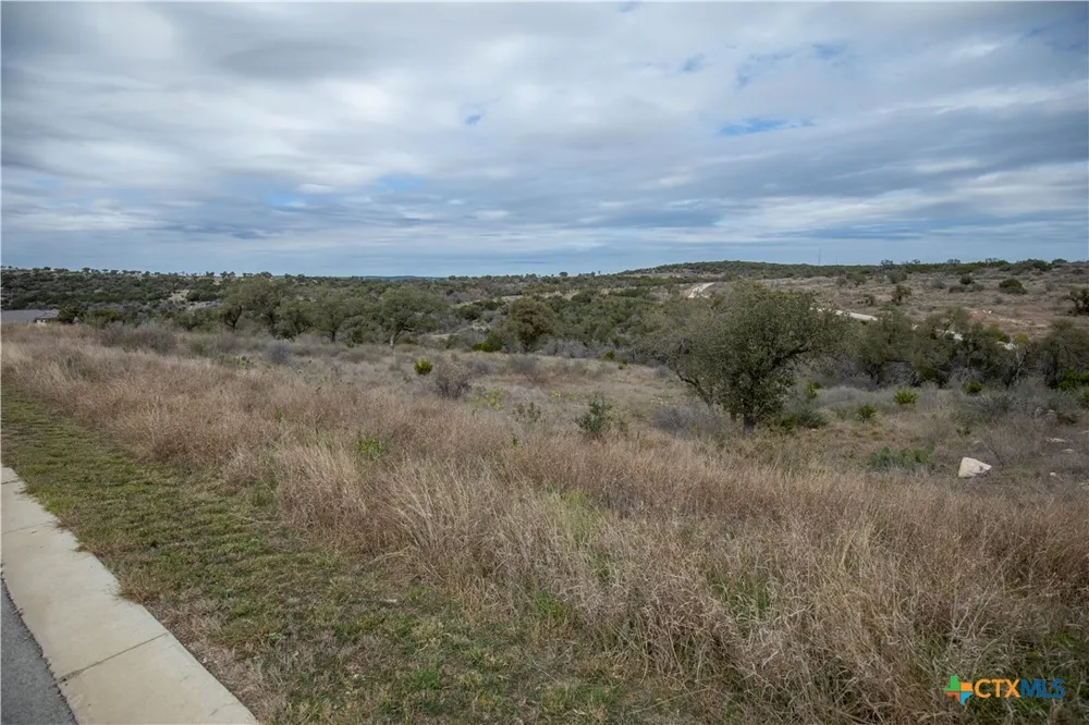 94 Hidden Cove Kingsland, TX 78639