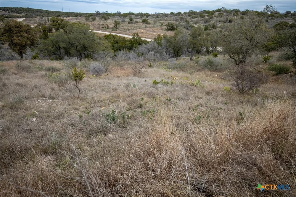 94 Hidden Cove Kingsland, TX 78639