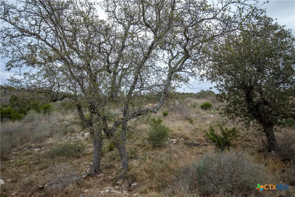 94 Hidden Cove Kingsland, TX 78639