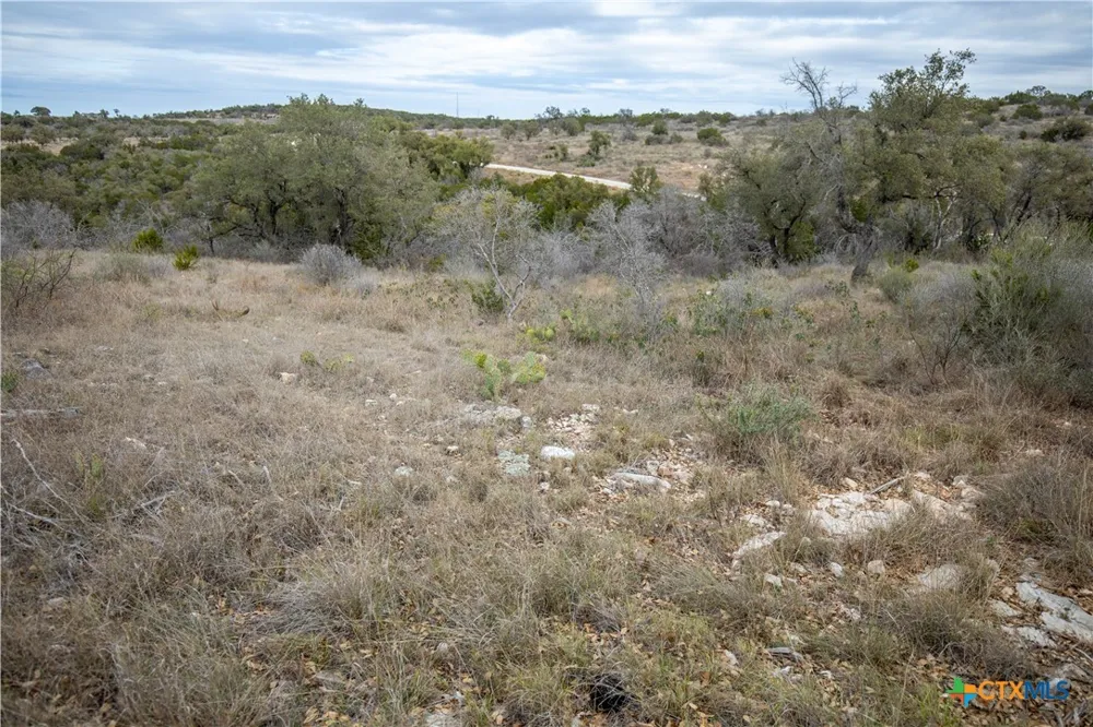 94 Hidden Cove Kingsland, TX 78639