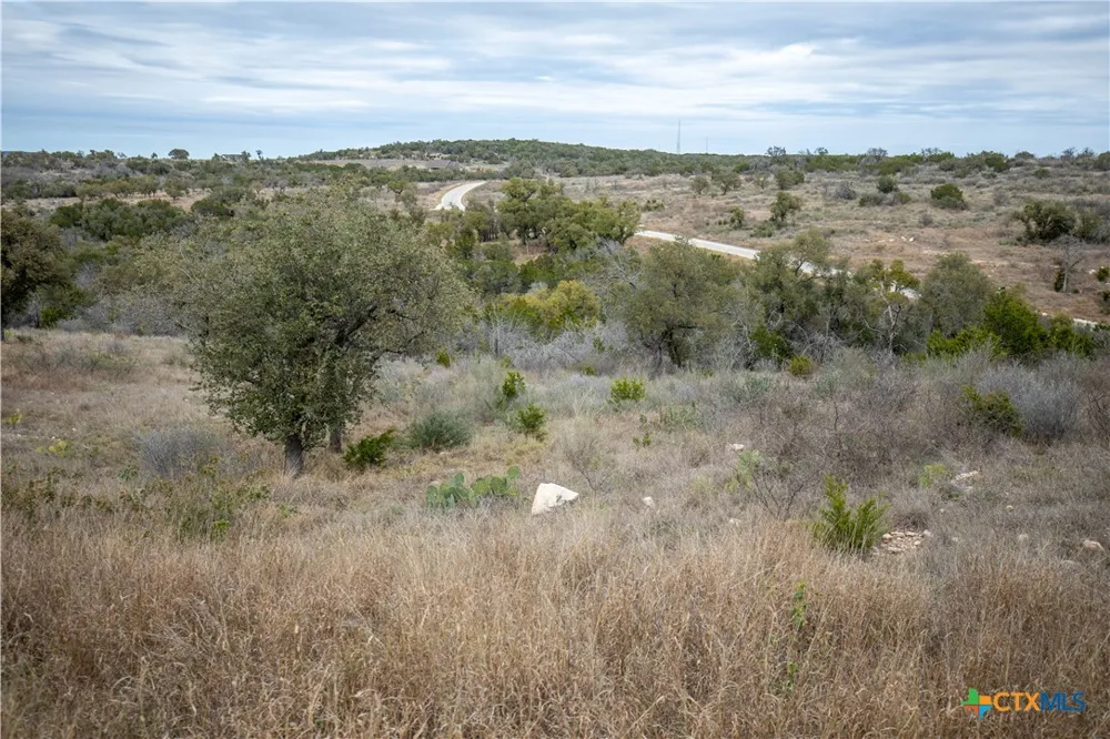 94 Hidden Cove Kingsland, TX 78639