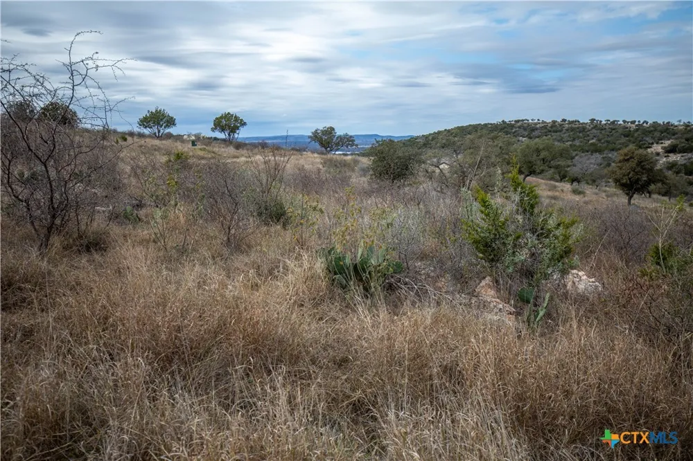 94 Hidden Cove Kingsland, TX 78639