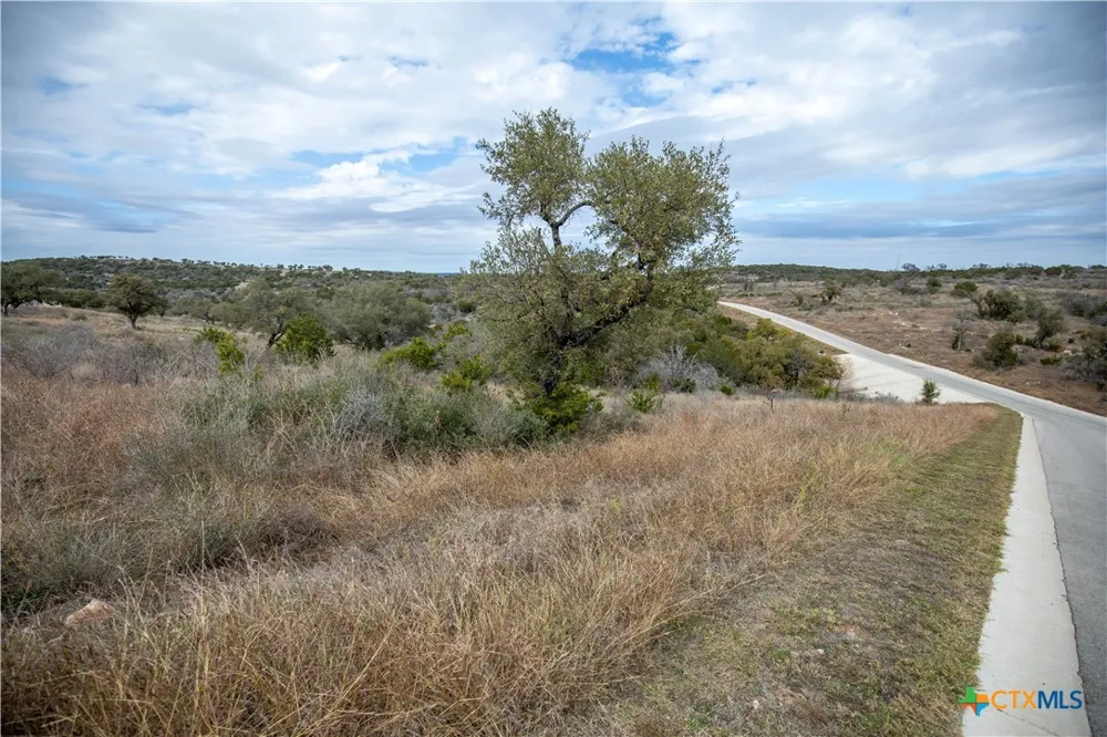 94 Hidden Cove Kingsland, TX 78639
