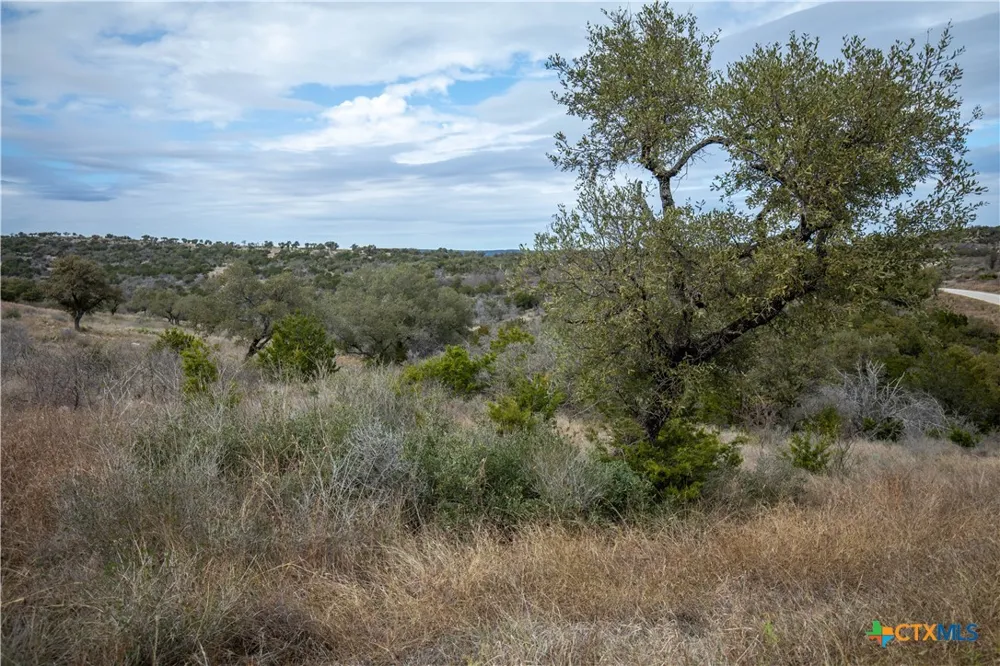 94 Hidden Cove Kingsland, TX 78639