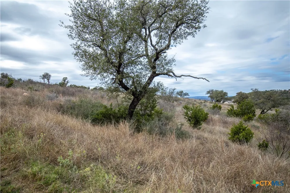 94 Hidden Cove Kingsland, TX 78639