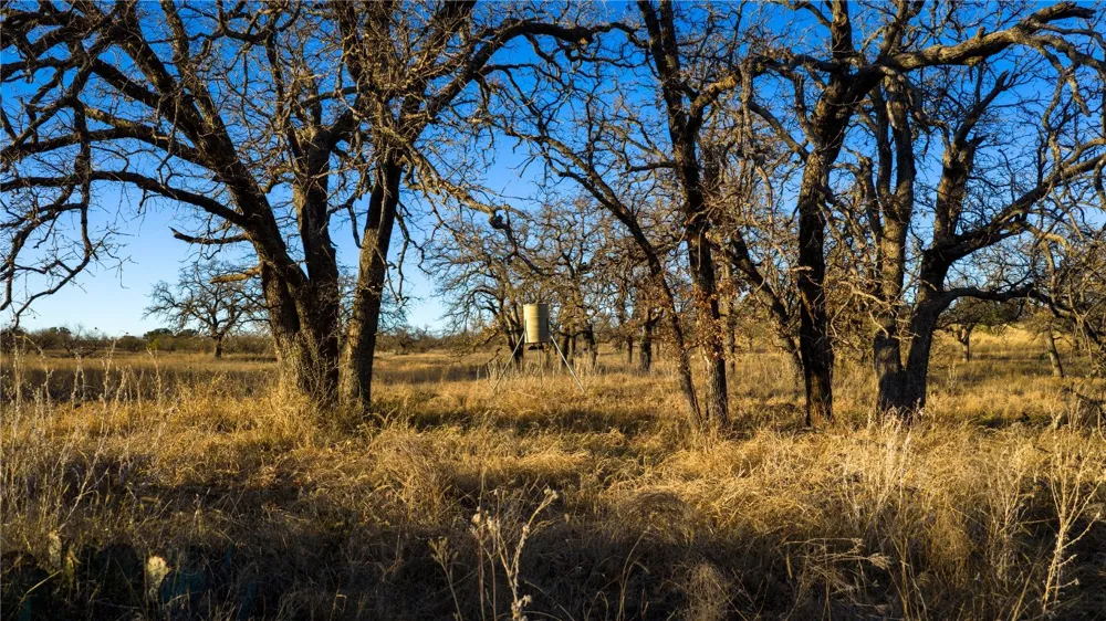 126 Buffalo Road Valley Spring, TX 76885
