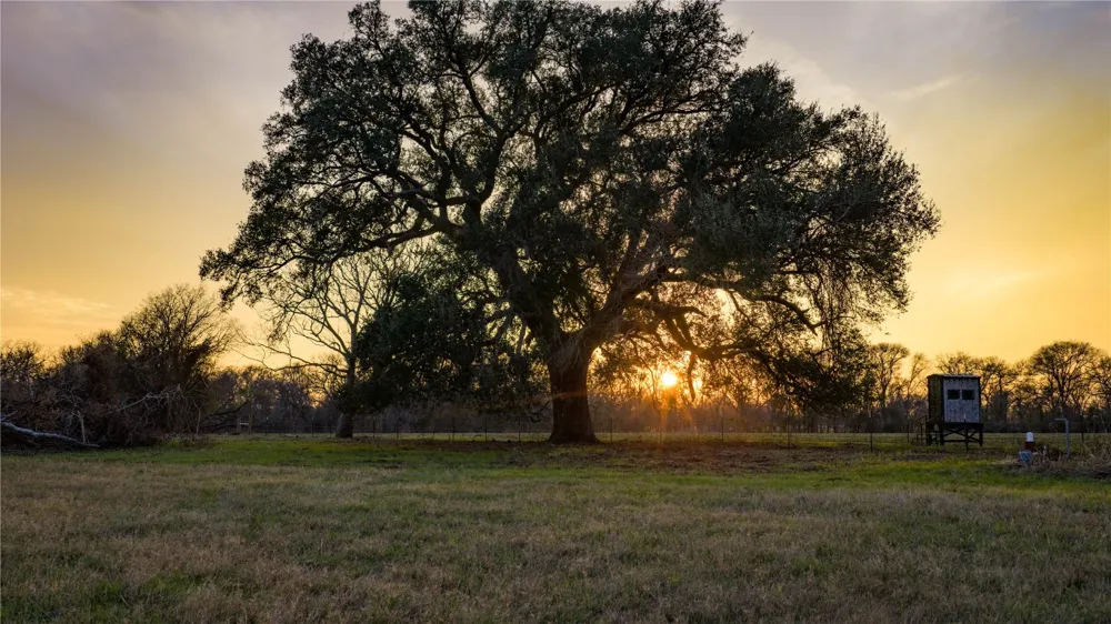 218 Brody Lane Bastrop, TX 78602