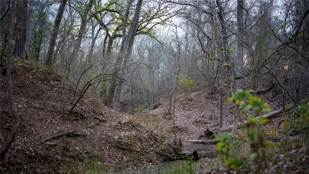 218 Brody Lane Bastrop, TX 78602