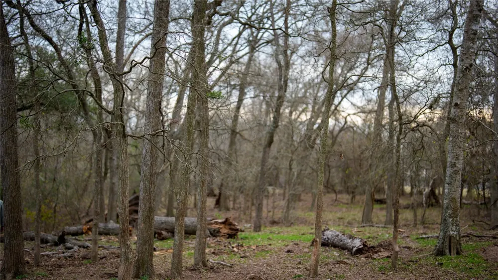 218 Brody Lane Bastrop, TX 78602