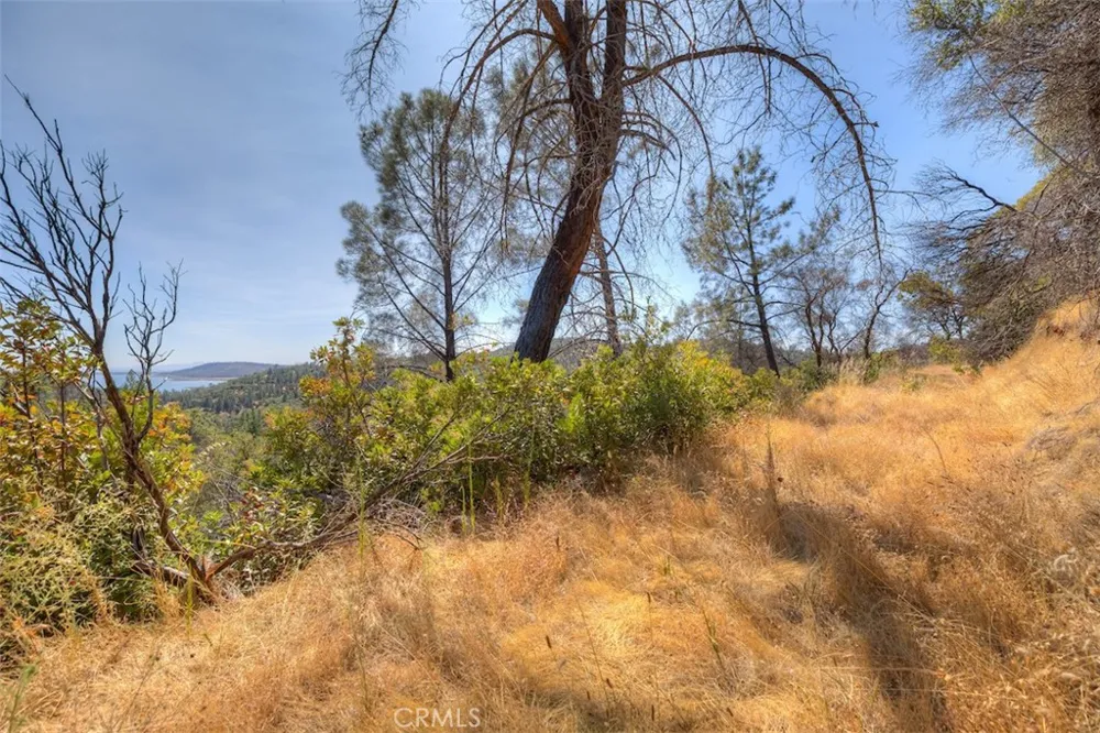 8700 Oro Quincy Berry Creek, CA 95916