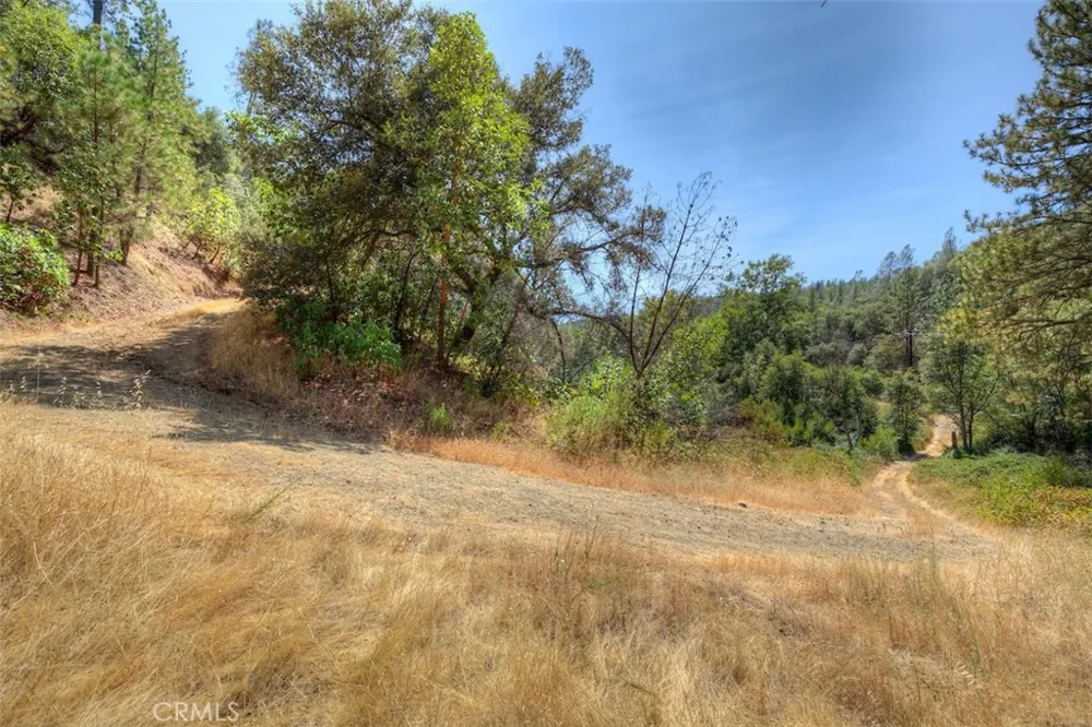 8700 Oro Quincy Berry Creek, CA 95916