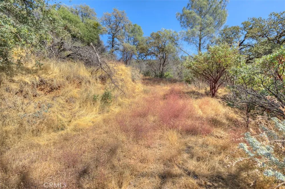 8700 Oro Quincy Berry Creek, CA 95916