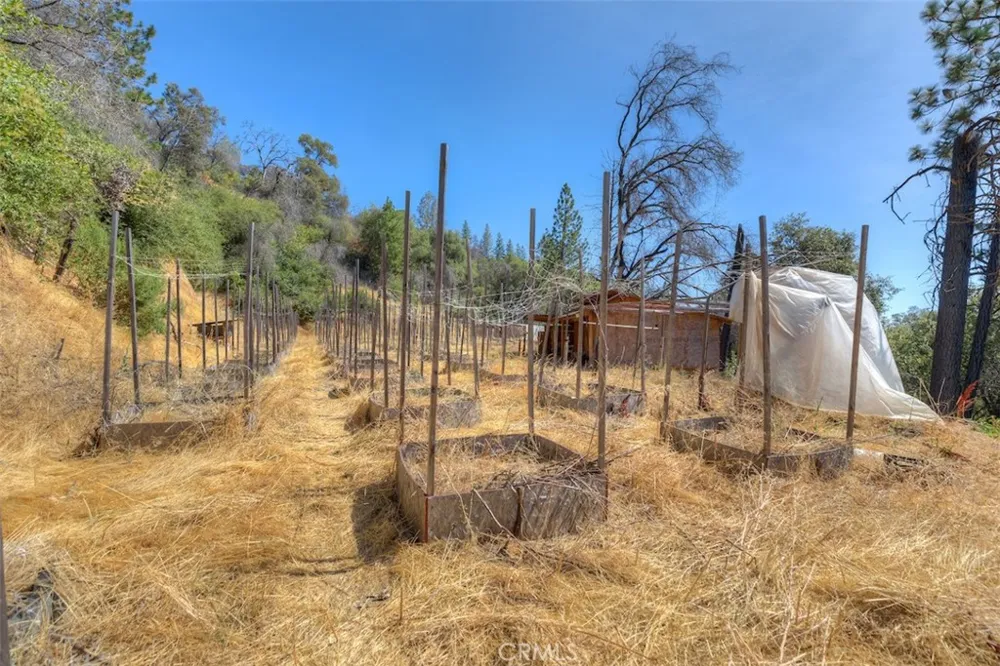 8700 Oro Quincy Berry Creek, CA 95916
