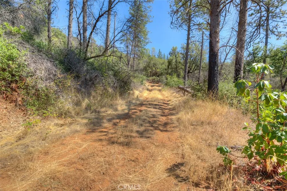 8700 Oro Quincy Berry Creek, CA 95916
