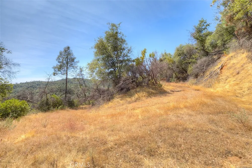 8700 Oro Quincy Berry Creek, CA 95916
