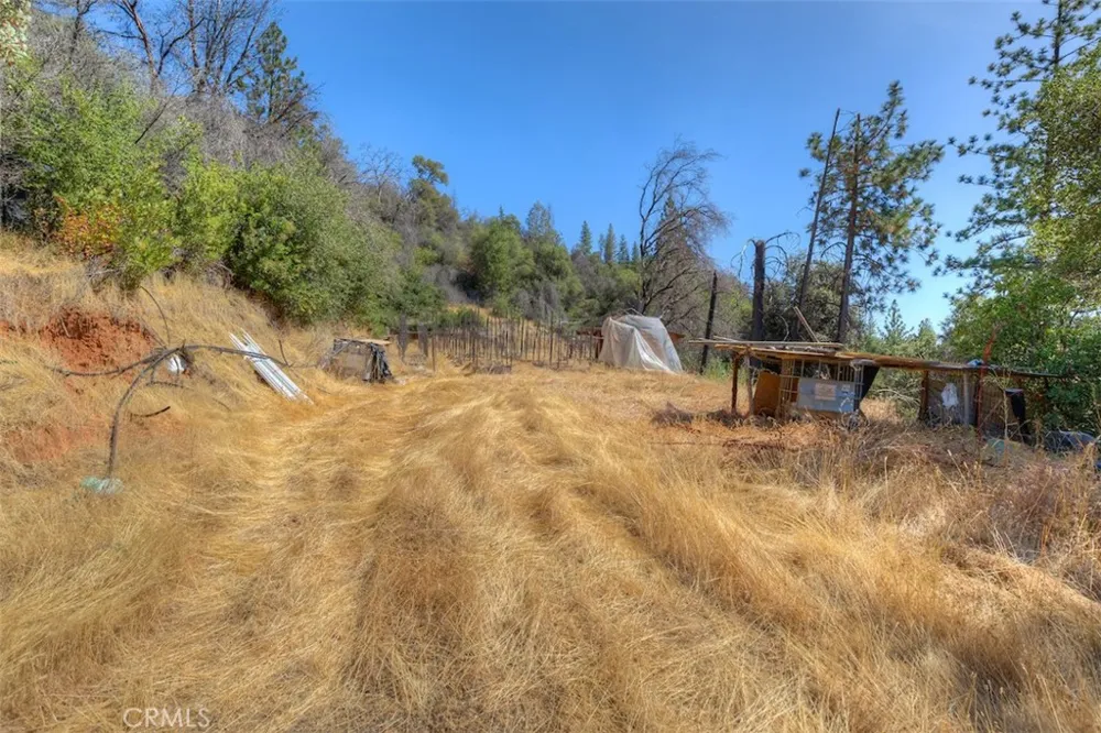 8700 Oro Quincy Berry Creek, CA 95916