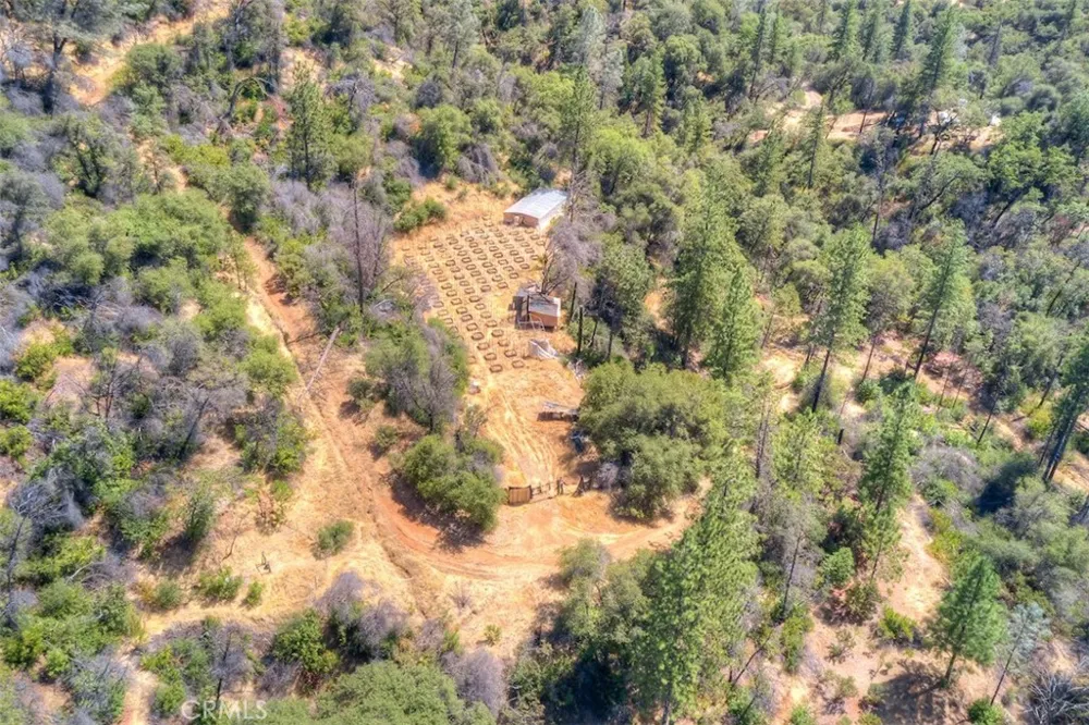 8700 Oro Quincy Berry Creek, CA 95916