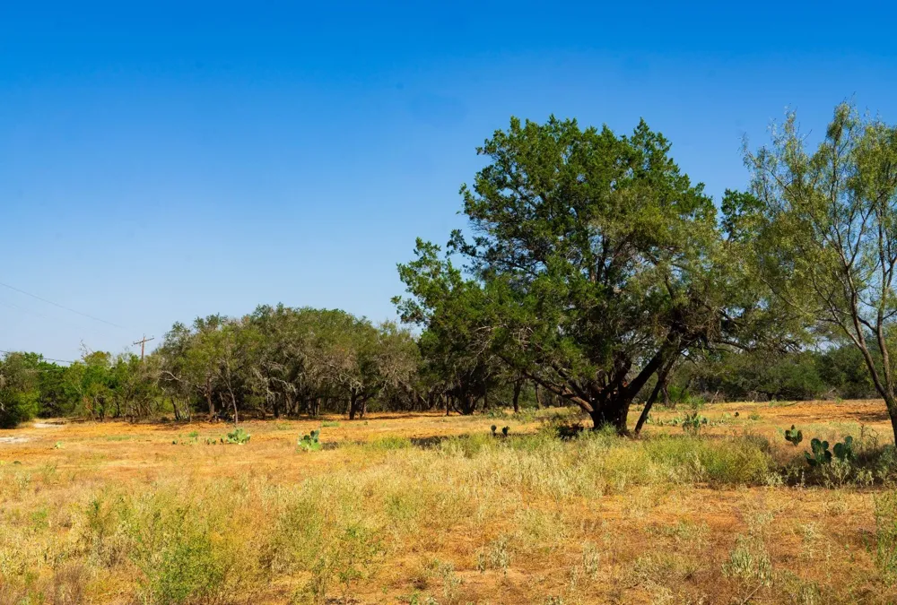 Old Ferry Road Spicewood, TX 78669