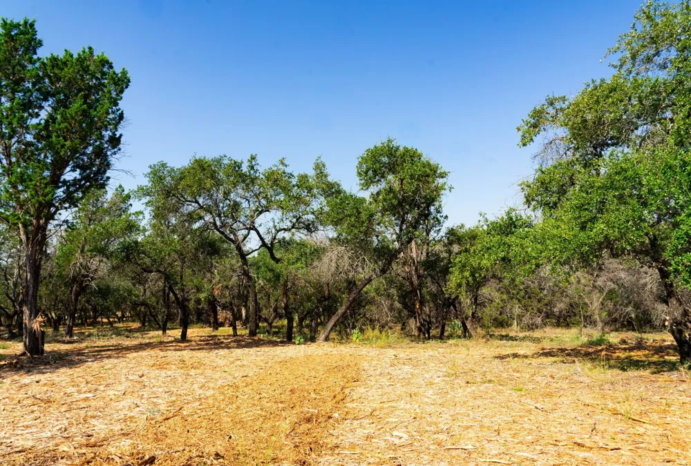 Old Ferry Road Spicewood, TX 78669
