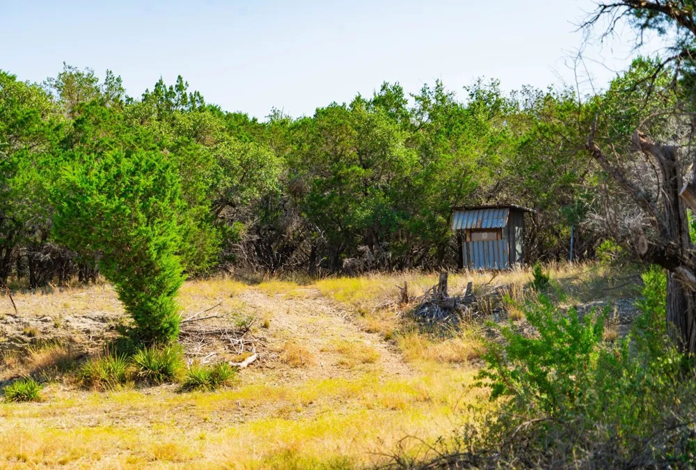Old Ferry Road Spicewood, TX 78669