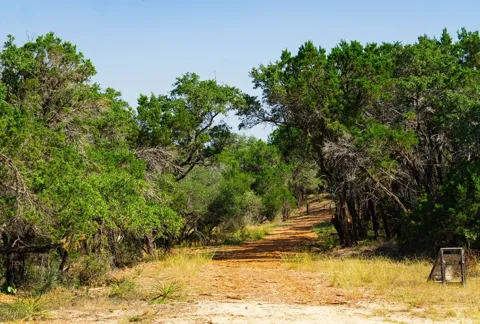 Old Ferry Road
