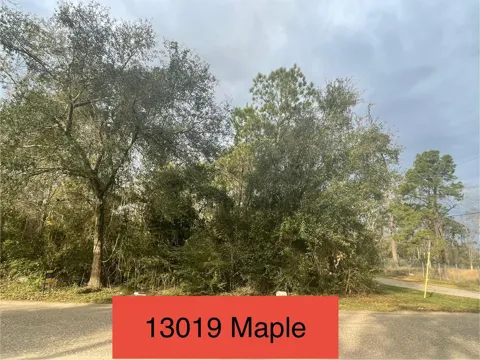 13019 Maple Street