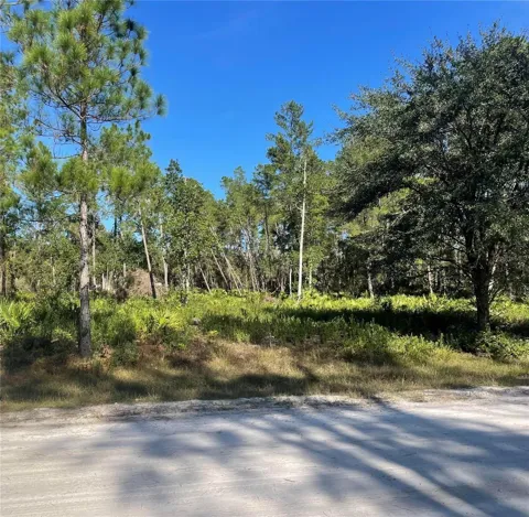 224 PLUMOSA DRIVE