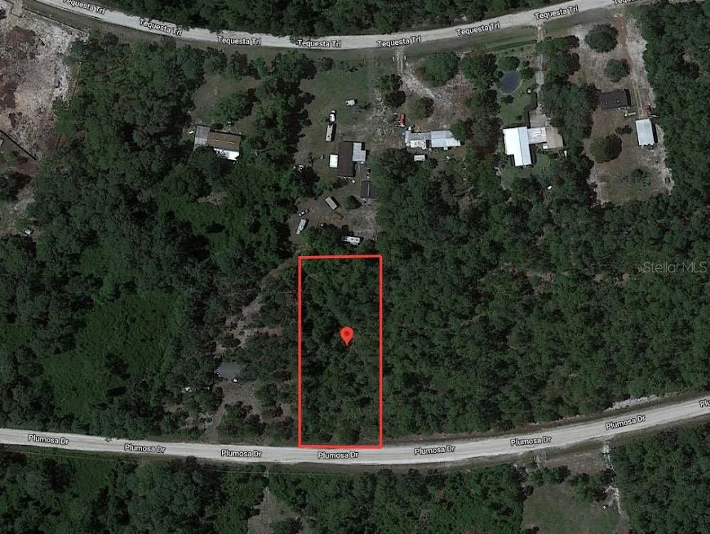 224 PLUMOSA DRIVE Georgetown, FL 32139