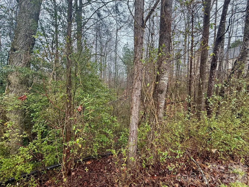 5136 Mark Drive NE Hickory, NC 28601