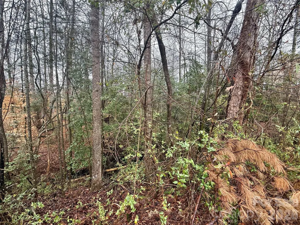 5136 Mark Drive NE Hickory, NC 28601